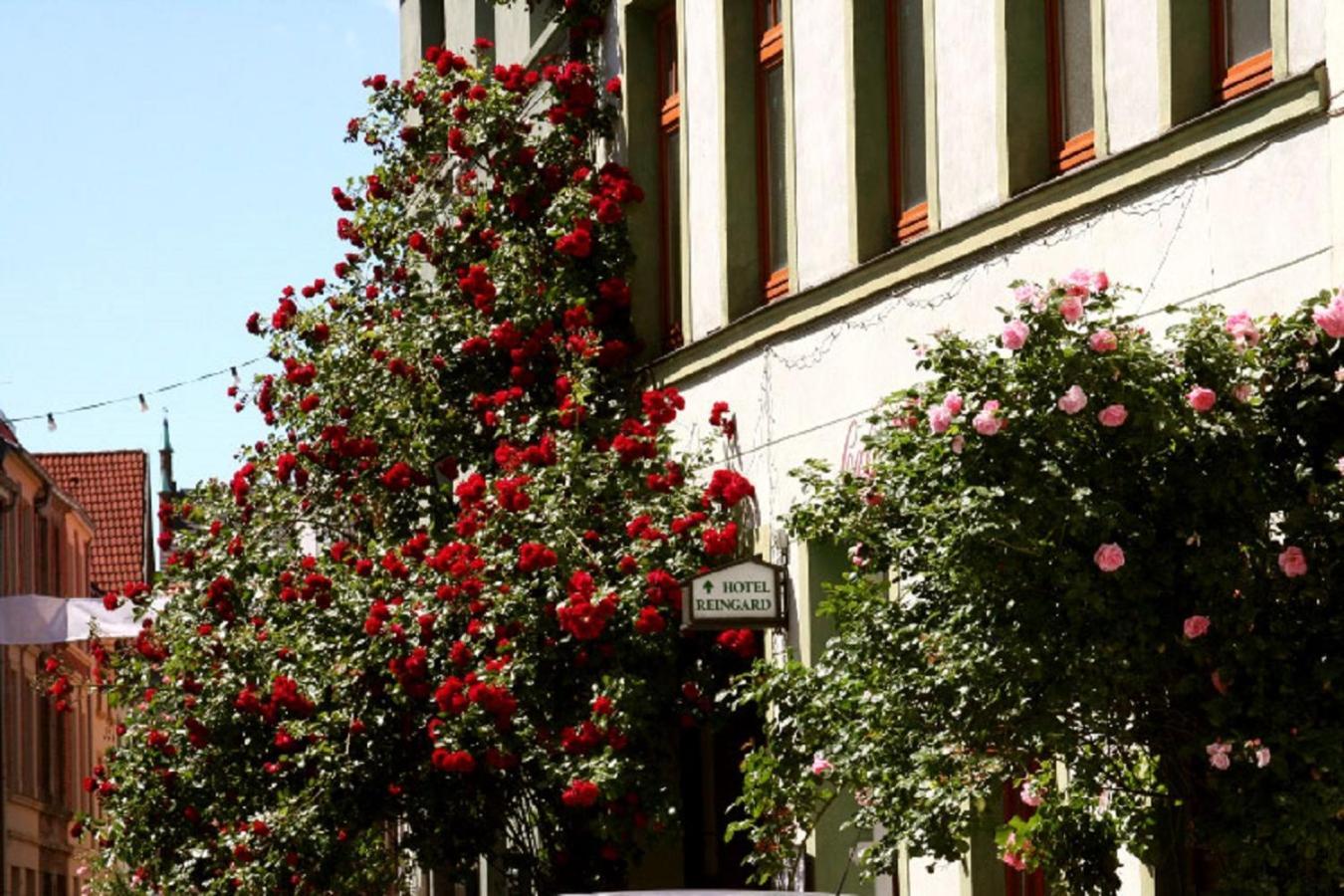 Hotel Reingard Wismar Ngoại thất bức ảnh